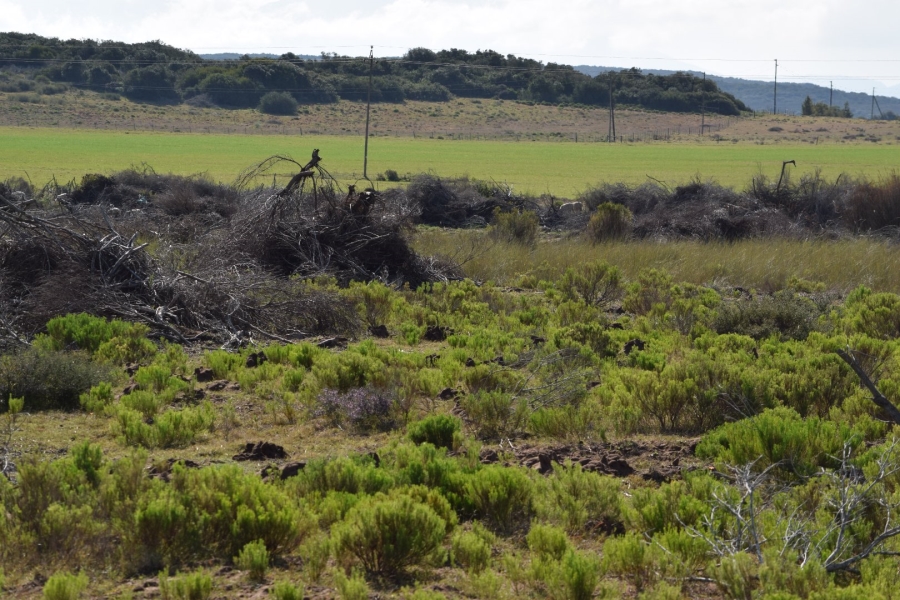  Bedroom Property for Sale in Stilbaai Rural Western Cape